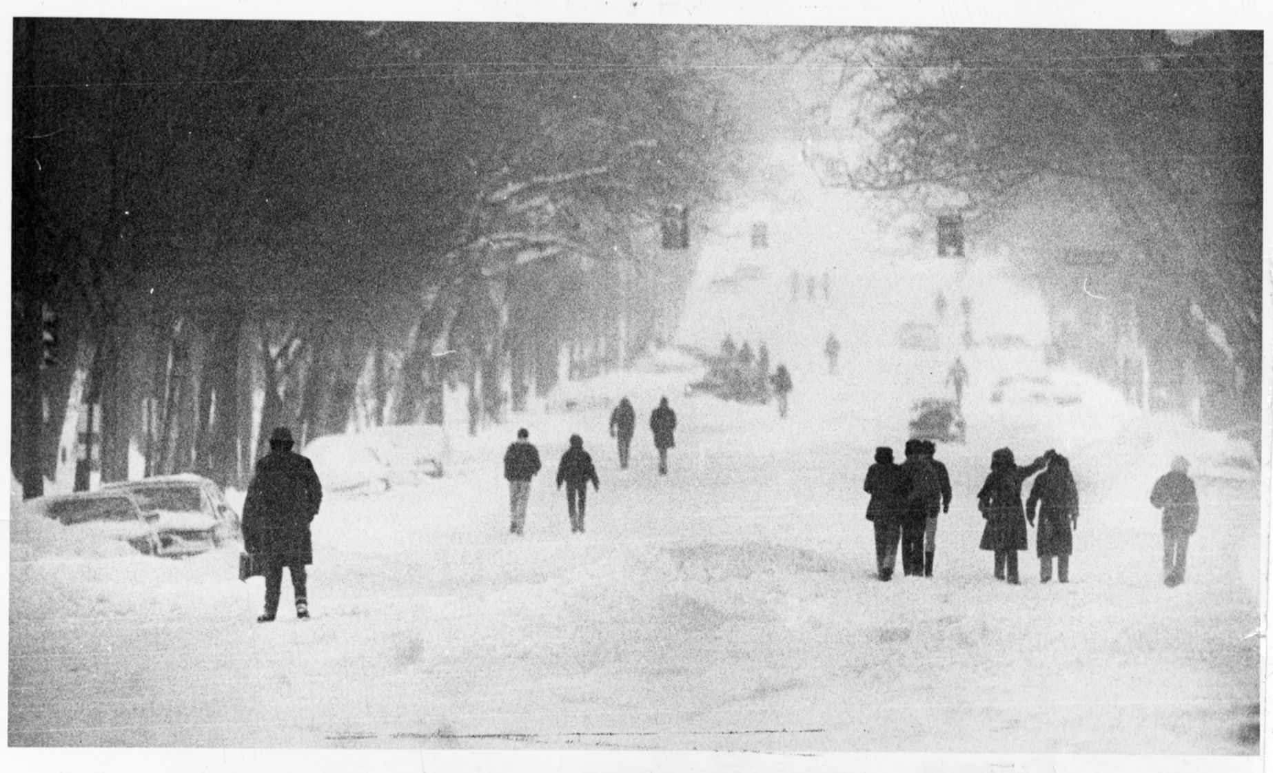 The blizzard of 1982